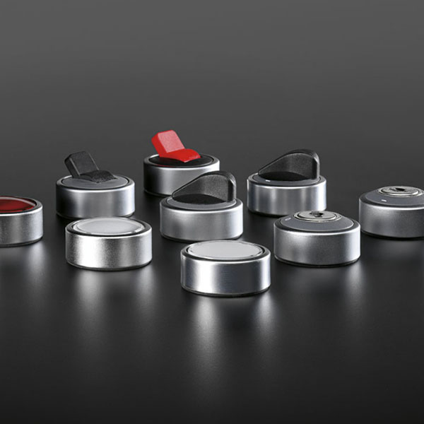 DUX-Basic The picture shows pushbuttons with the DUX-Basic design.