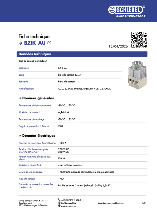 Datenblatt_BZIK_AU