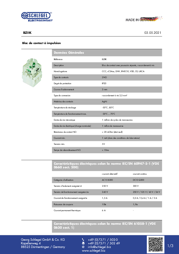 Datenblatt_BZIIK