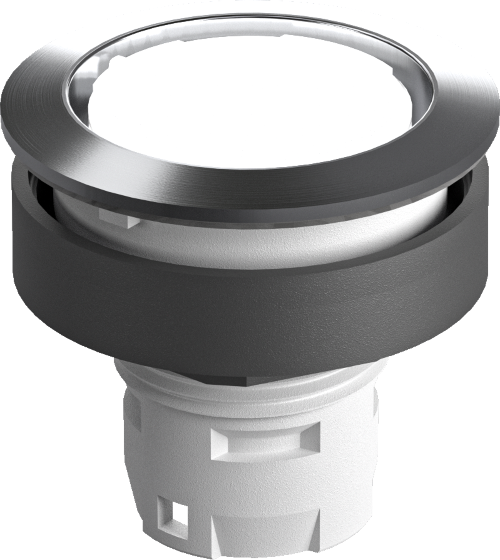 versa-ligature600.jpg
