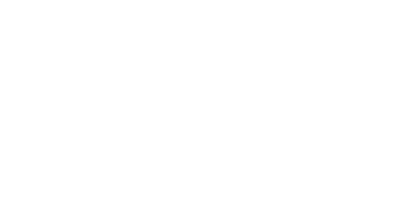 Icon Sicherheit 2BSecure maximale Sicherheit